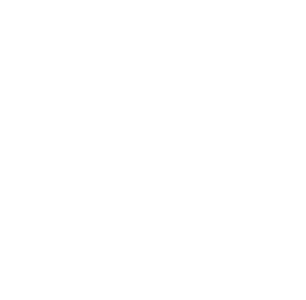 Ethan Morisset Github account